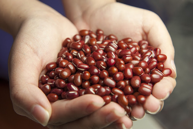 A handful of red bean