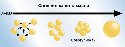 koaleszenz%20copy.jpg