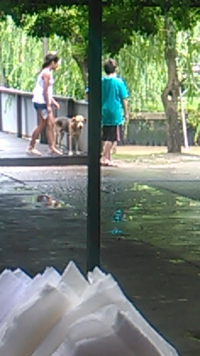 Photos of "Mi casa en el Tigre"