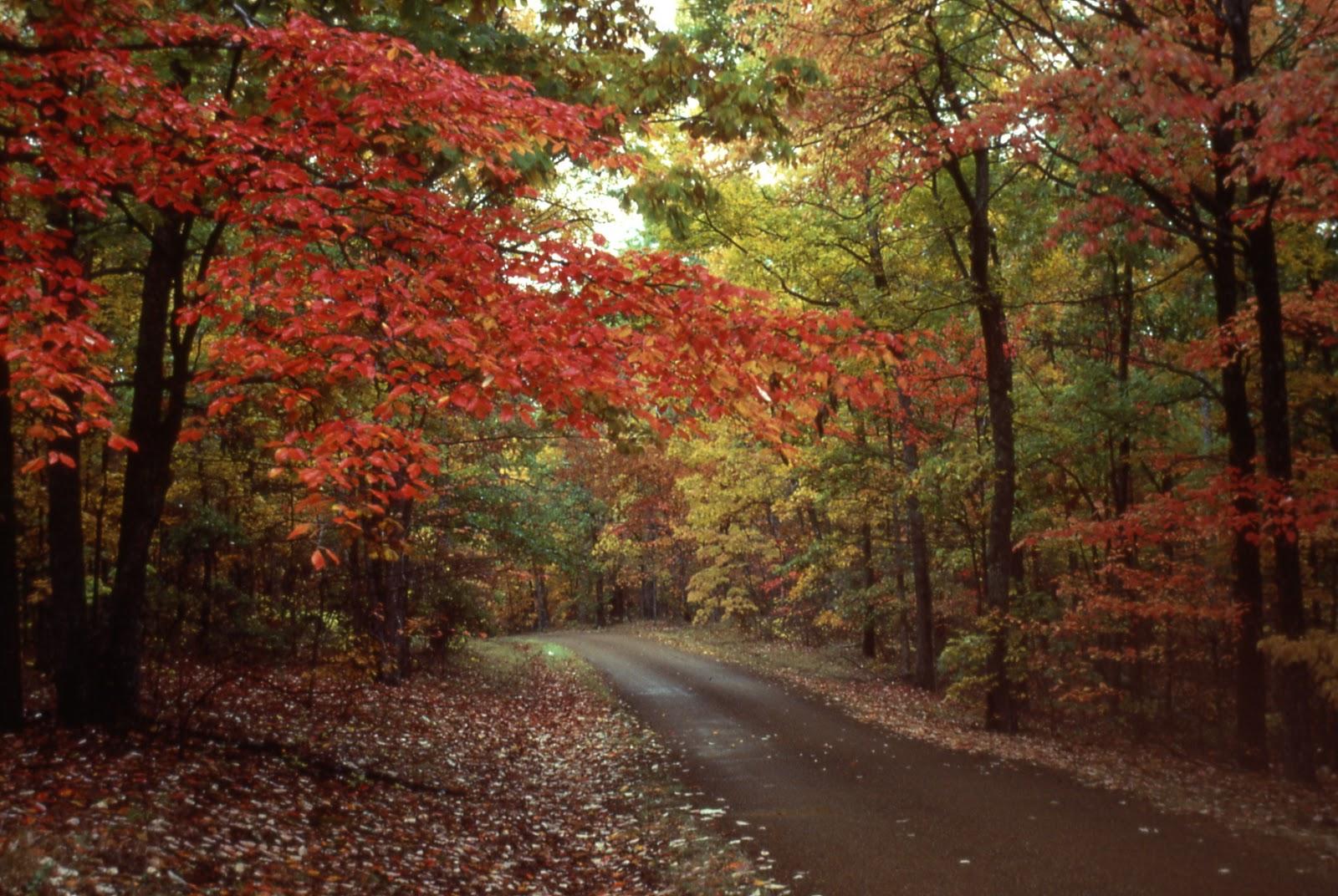 See fall colors on The Old