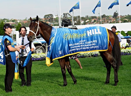 cox plate_winx 6