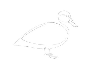 how to draw a duck