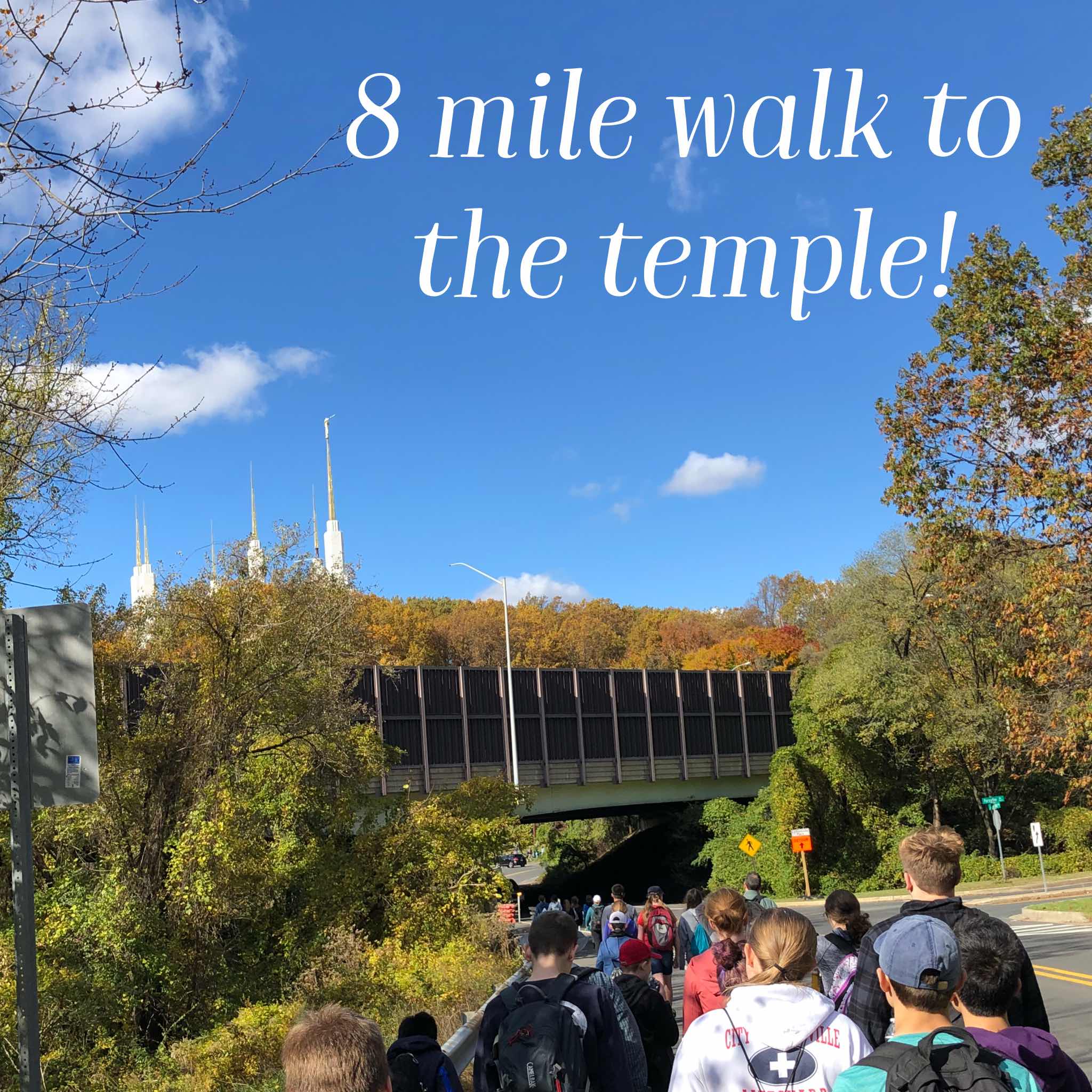 8 Mile Walk to the Temple!