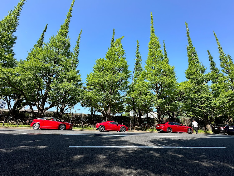 ジュリアの5月もよろしくお願いします・GW・alfaromeo giulia quadrifoglio・アルファロメオに関するカスタム事例の投稿画像2枚目