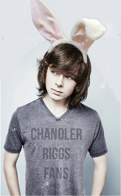 Chandler Riggs Profile Pics Display Images