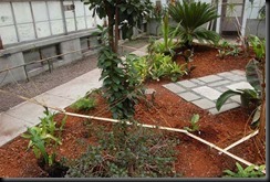 Bamboo-Drip-irrigation-conservation