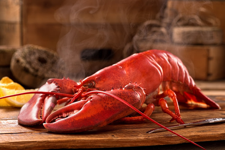 The prices of exported lobsters have plunged since China halted seafood imports on Jan. 25.