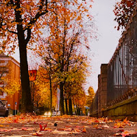 Autunno arancione  di Caterinar