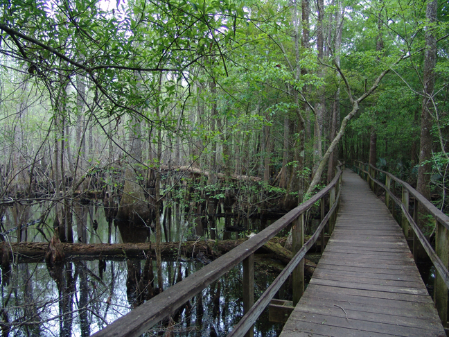 Audubon South Carolina: Boardwalk Reaching End of Lifespan