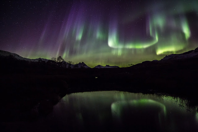 Incredible auroras from Stamnes, Sortland, Norway, Oct 2015. Photographer Benny Høynes