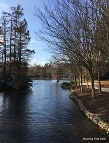 Trail along the lake