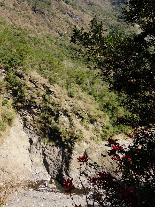 2014_0101-0105 萬山神石、萬山岩雕順訪萬頭蘭山_0079