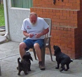 Skruffy and Bubba getting morning treat from Arnie