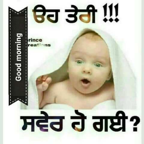 Good Morning Pictures 2023 In Hindi Punjabi English Good Morning Pictures