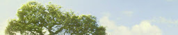 Profile cover photo