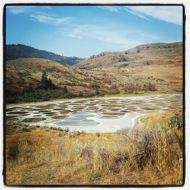 Spotted Lake Image