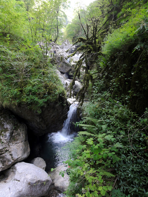 Ainhoa, St.Jean Pied Port, Puente Holtzarte, Cueva La Verna, Gargantas Kakueta. - De viaje por Francia: diarios, viajes y excursiones en coche. (49)