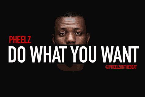    Pheelz – “Do What You Want” (Prod. By Pheelz)