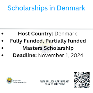 Denmark Government Fully Funded Scholarship 2024-2025 Study Free in Denmark -  Bachelors, Masters, PhD for International Students