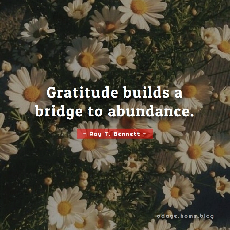 Gratitude builds a bridge to abundance. - quotes by Roy T. Bennett proverbs & sayings about inspiration, inspirational, inspirational-attitude, inspirational-life, inspirational-quotes, inspire, inspiring, life, life-and-living, life-lessons, life-quotes, living, motivation, motivational, optimism, optimistic, positive, positive-affirmation, positive-life, positive-thinking