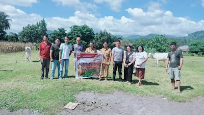 Dukung Penguatan Ketahanan Pangan, Pemdes Tawaang Pengadaan Ternak Sapi