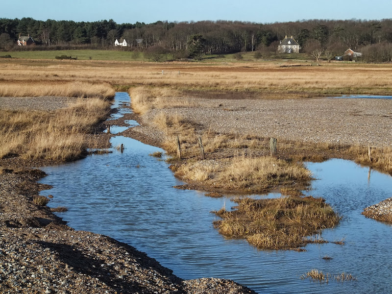 Floods and dykes at Dingle Marsh