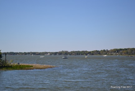 Boats on Lake Dora