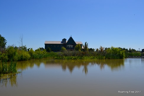 Pond behind the Visitor Center