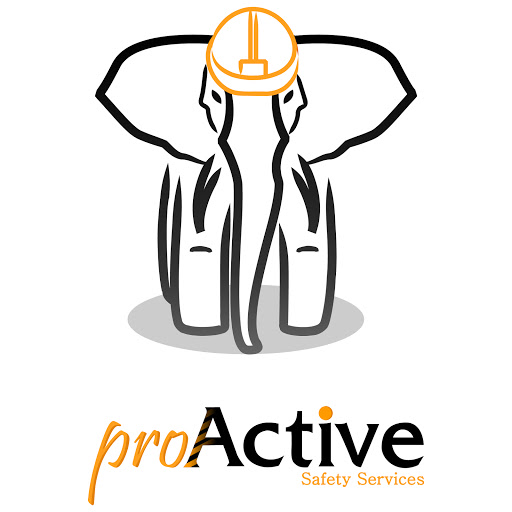 proActive Safety Services logo