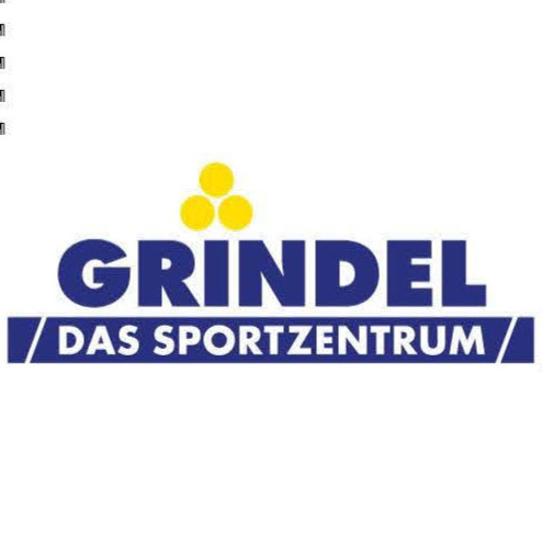 Grindel - Das Sportzentrum / TSM Grindel AG Bassersdorf logo