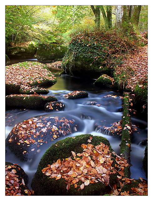 la Rivière d'Argent à Huelgoat 5nov-pontriffin-huelgoat26b