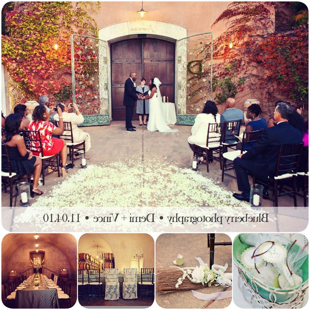 Sonoma Vineyard Wedding