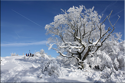 Itxogana, estampa invernal día de Navidad - 2010 