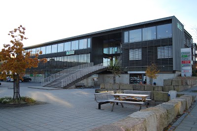 bank