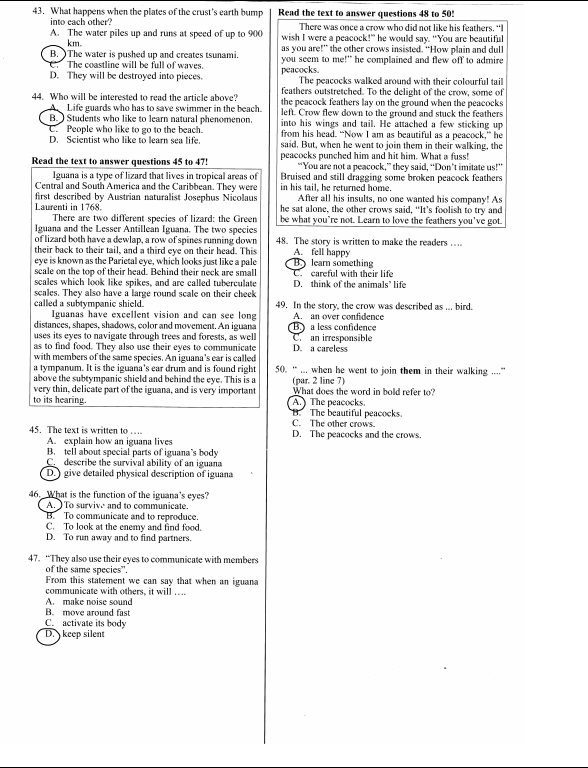 Get Soal Bahasa Inggris Un Kunci Jawaban Background