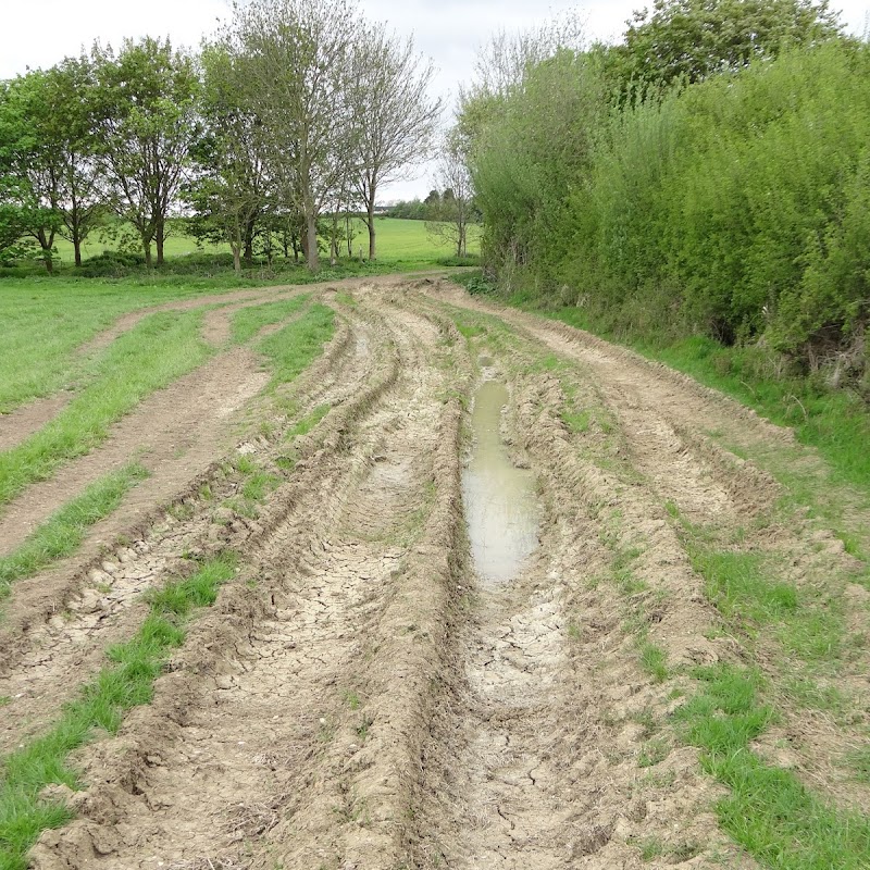 Giddings_40.JPG