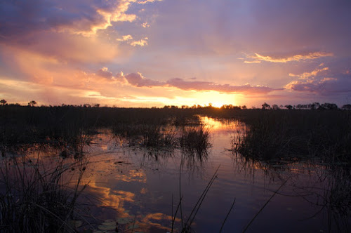 Okavango Sunset, Botswana