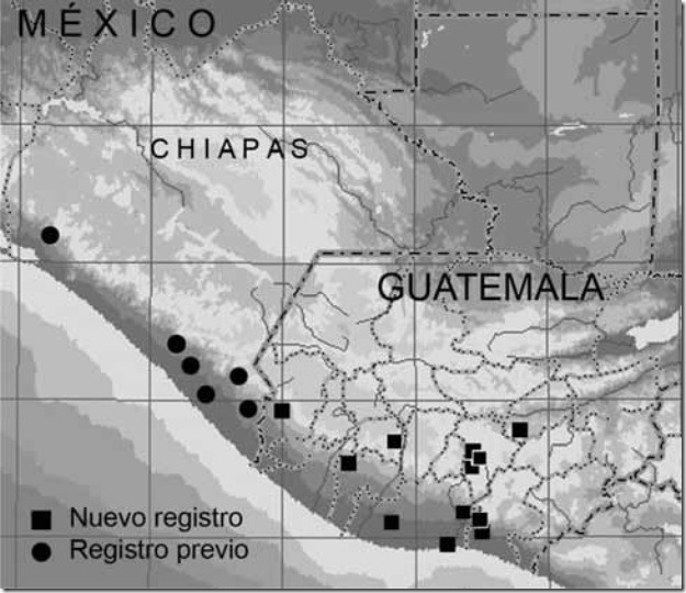 Distribución geográfica