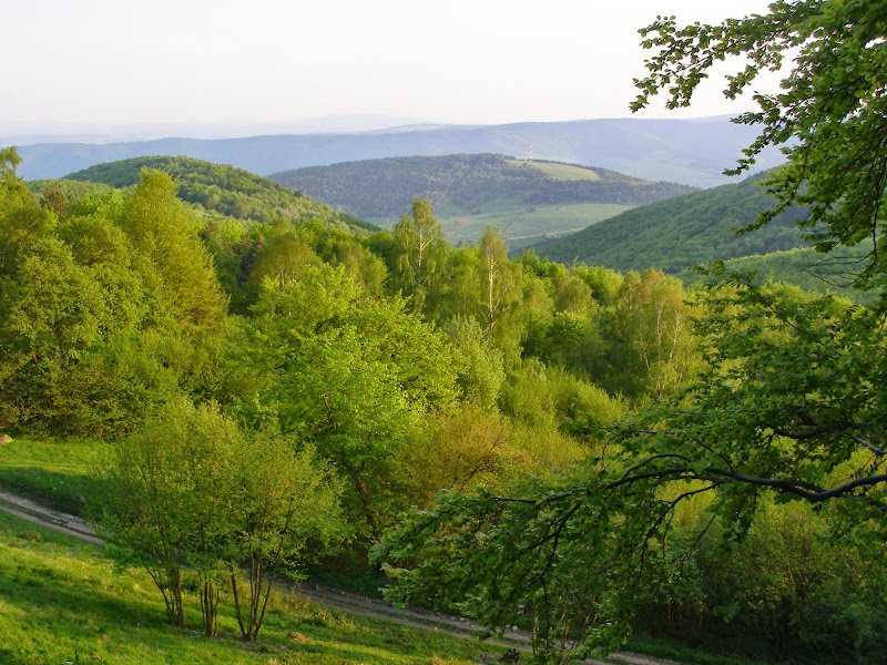 ce1098 - Góry Czerchowskie i majówkowa wyrypa - Mincol