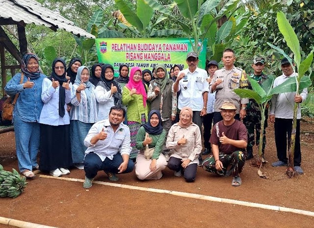 Polsek Ciamis Polres Ciamis Monitoring Pelatihan Pertanian Pisang ke Warga Cikapas