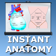 Abdomen and Thorax Lectures