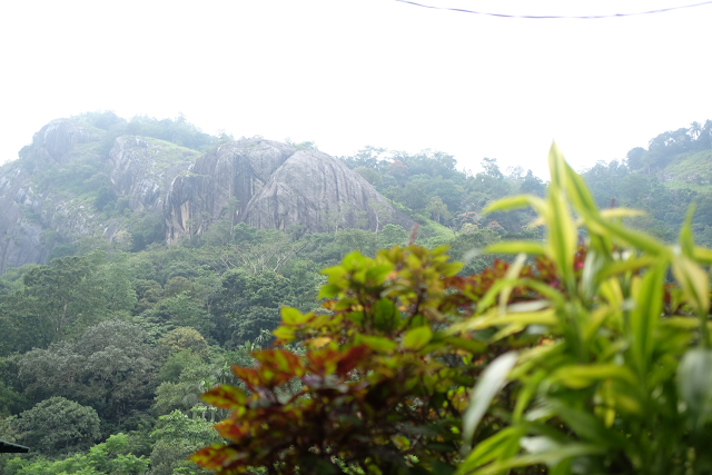 Kadugannawa Tea Factory & Sales Center