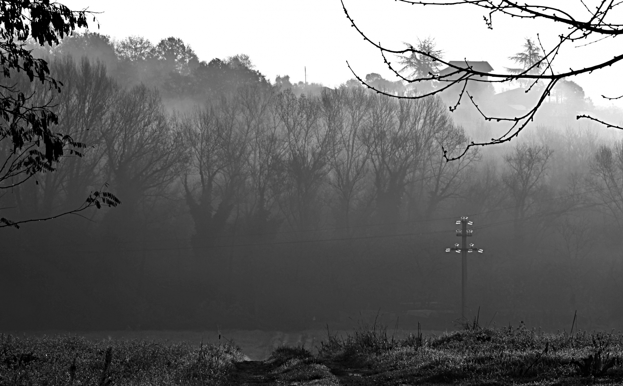 Foggy scenery di Carmelo Vecchio