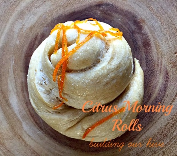 citrus rolls