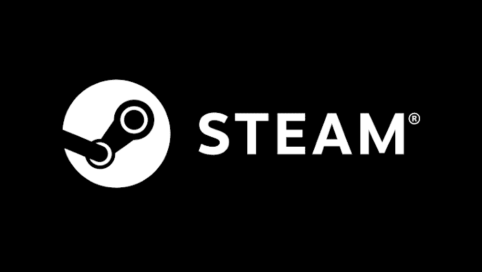 Steamを修正する12の方法で問題が発生しない