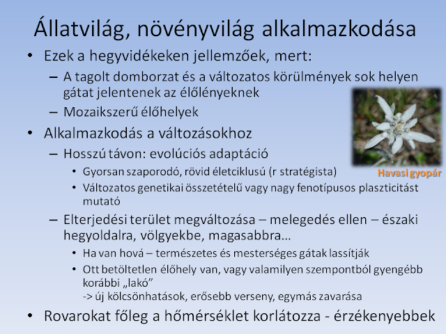 &Eacute;l�vil&aacute;g alkalmazkod&aacute;sa