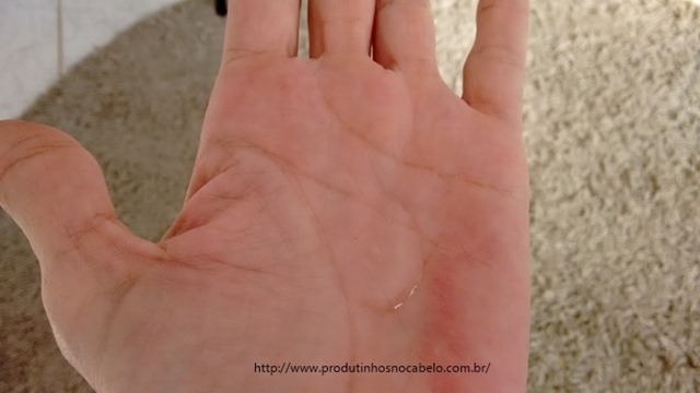 textura elseve pre shampoo Lançamento Pré Shampoo Elseve