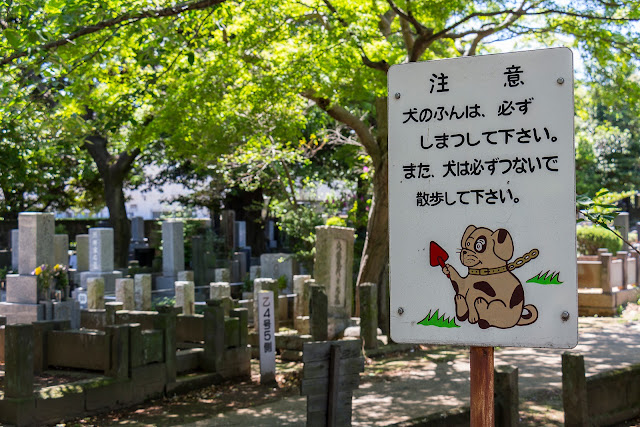 JAPAN is different! - Blogs de Japon - DIA 4: TOKYO - Yanaka / Ueno / SUMO (5)