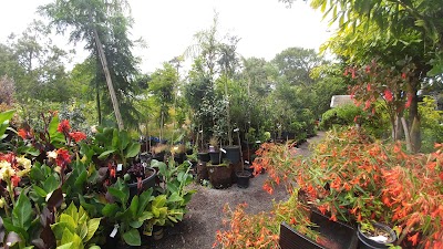 Photos of Roger Hunters Garden Centre