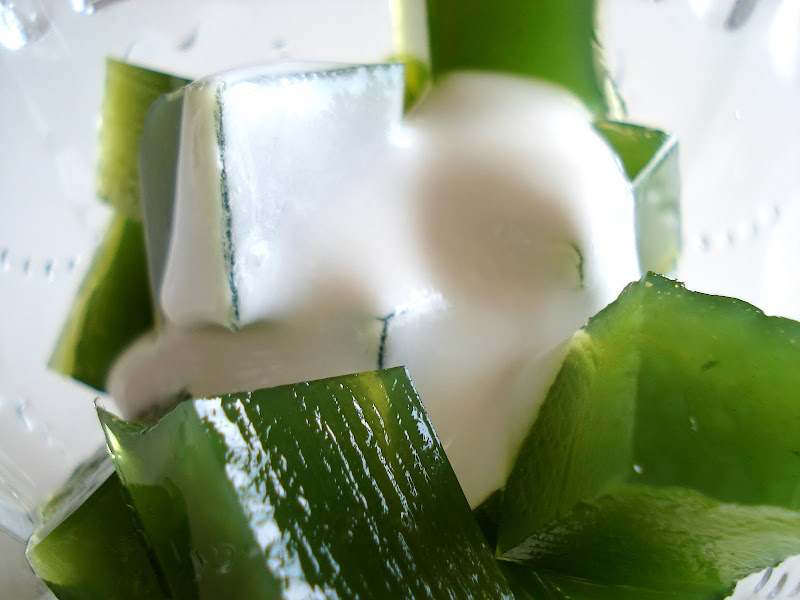 Filipina salada (buko pandan)